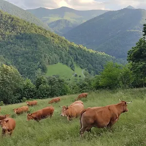 La Grange De L'ours Saint-Lary (Ariege)